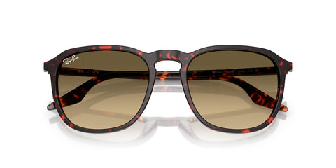 Ray-Ban RB 2203 1429/0A Sunglasses