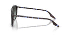 Ray-Ban RB 2203 1430/GK Sunglasses