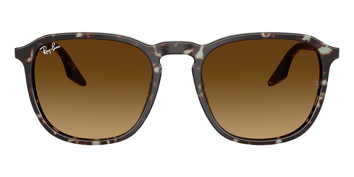 Ray-Ban RB 2203 1431/85 Sunglasses