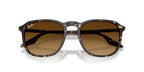 Ray-Ban RB 2203 1431/85 Sunglasses