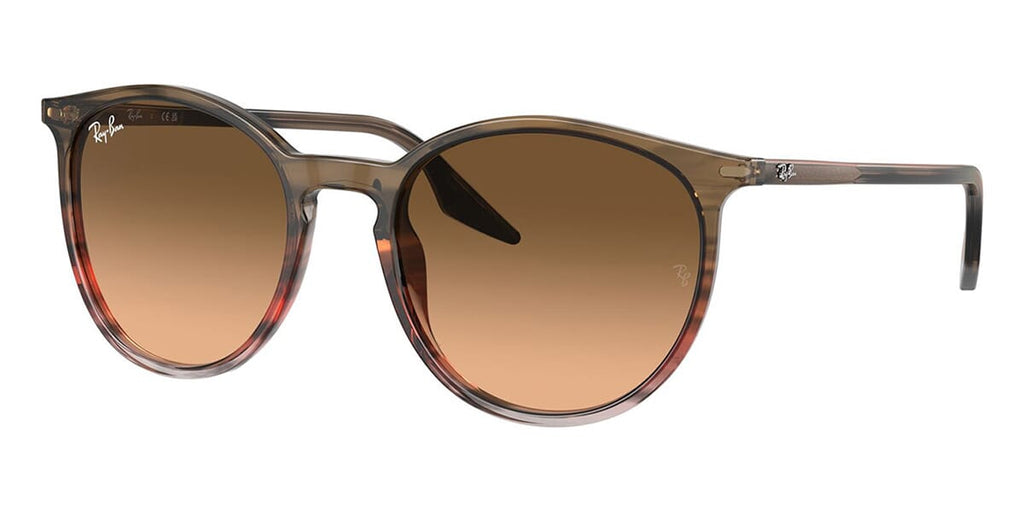 Ray-Ban RB 2204 1395/3B Sunglasses