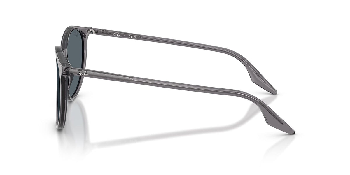 Ray-Ban RB 2204 1399/R5 Sunglasses