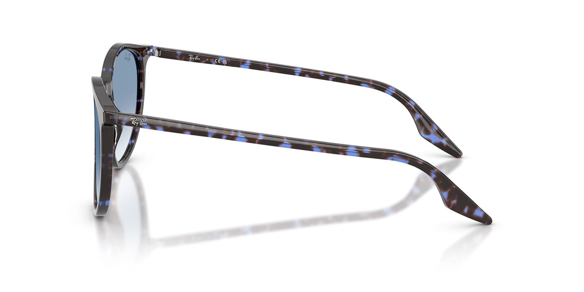 Ray-Ban RB 2204 1430/3F Sunglasses