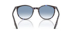 Ray-Ban RB 2204 1430/3F Sunglasses