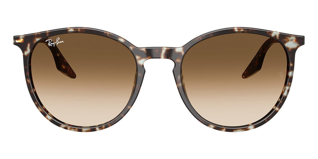 Ray-Ban RB 2204 1431/51 Sunglasses