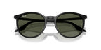 Ray-Ban RB 2204 901/31 Sunglasses
