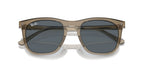 Ray-Ban RB 2210 6765/R5 Sunglasses