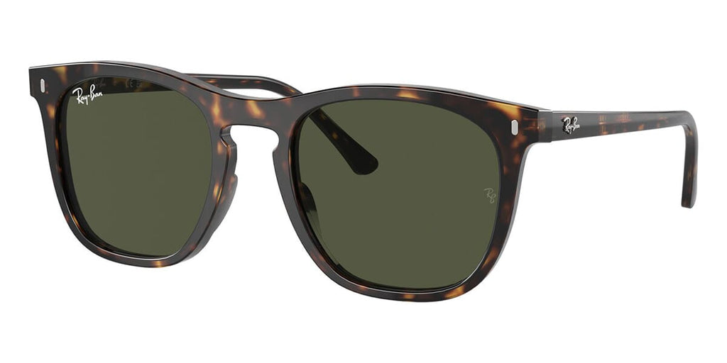 Ray-Ban RB 2210 902/31 Sunglasses