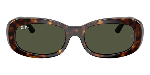Ray-Ban RB 2221 902/31 Sunglasses