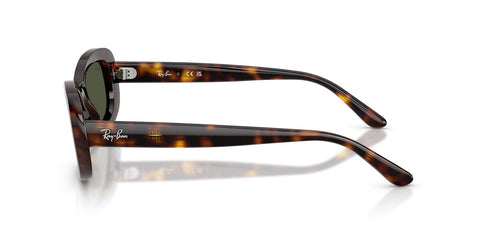 Ray-Ban RB 2221 902/31 Sunglasses