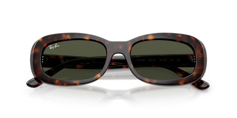 Ray-Ban RB 2221 902/31 Sunglasses