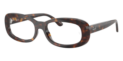 Ray-Ban RB 2221V 2012 Glasses