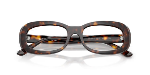 Ray-Ban RB 2221V 2012 Glasses