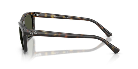 Ray-Ban RB 2226 710/31 Sunglasses