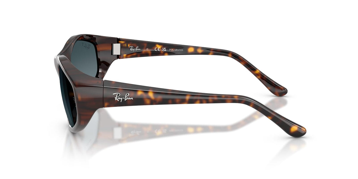Ray-Ban RB 2228 710/S3 Sunglasses