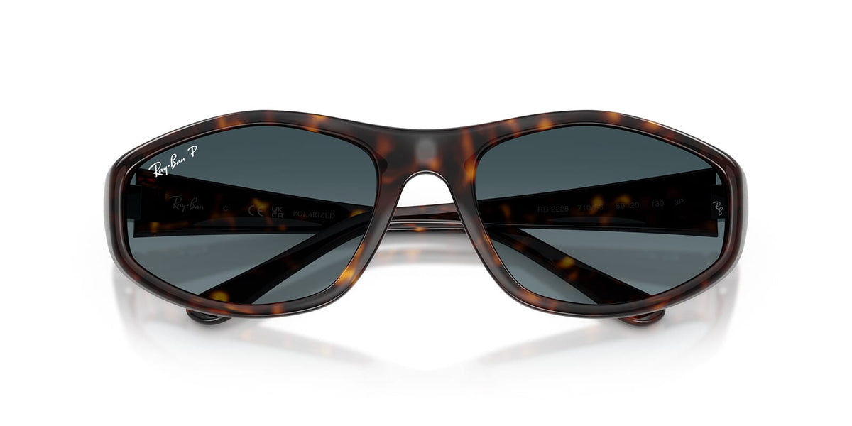 Ray-Ban RB 2228 710/S3 Sunglasses