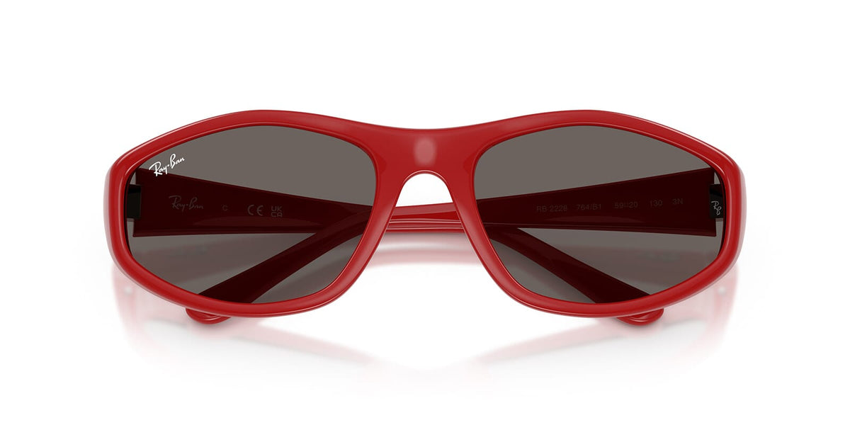 Ray-Ban RB 2228 764/B1 Sunglasses