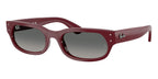 Ray-Ban RB 2236 6899/71 Sunglasses