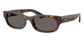 Ray-Ban RB 2236 902/B1 Sunglasses