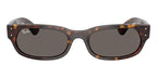 Ray-Ban RB 2236 902/B1 Sunglasses