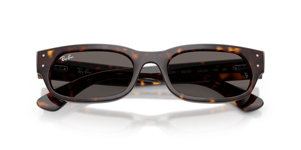Ray-Ban RB 2236 902/B1 Sunglasses