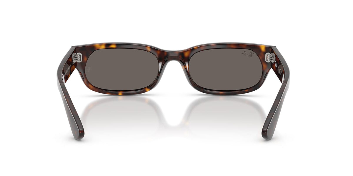 Ray-Ban RB 2236 902/B1 Sunglasses