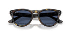 Ray-Ban RB 2237 710/80 Sunglasses