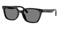 Ray-Ban RB 2243D 901/87 Sunglasses