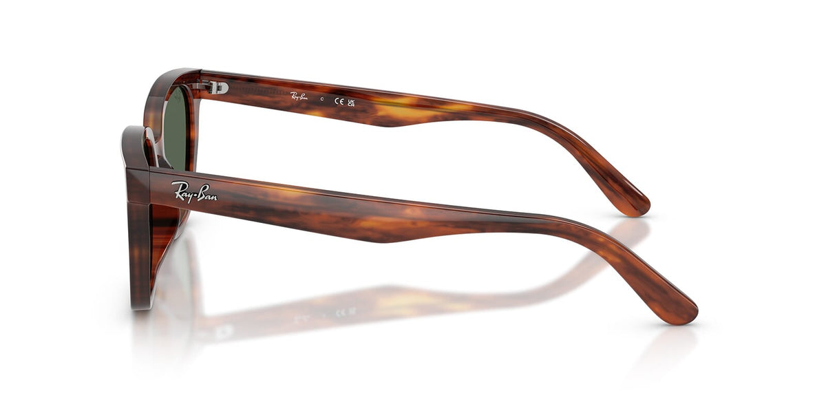 Ray-Ban RB 2243D 954/71 Sunglasses