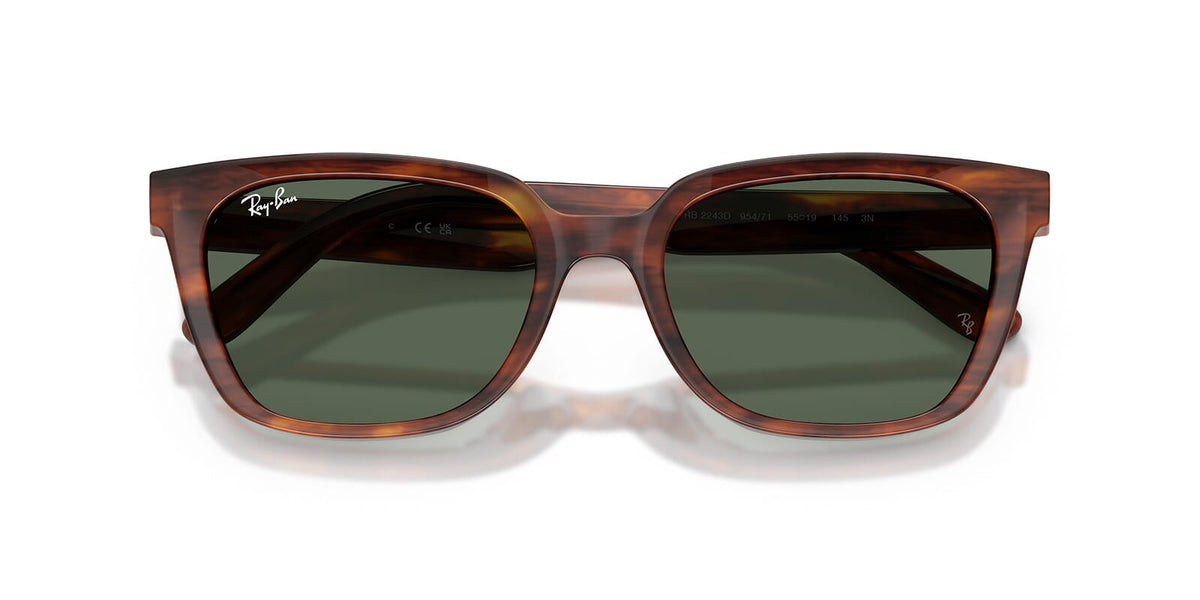 Ray-Ban RB 2243D 954/71 Sunglasses