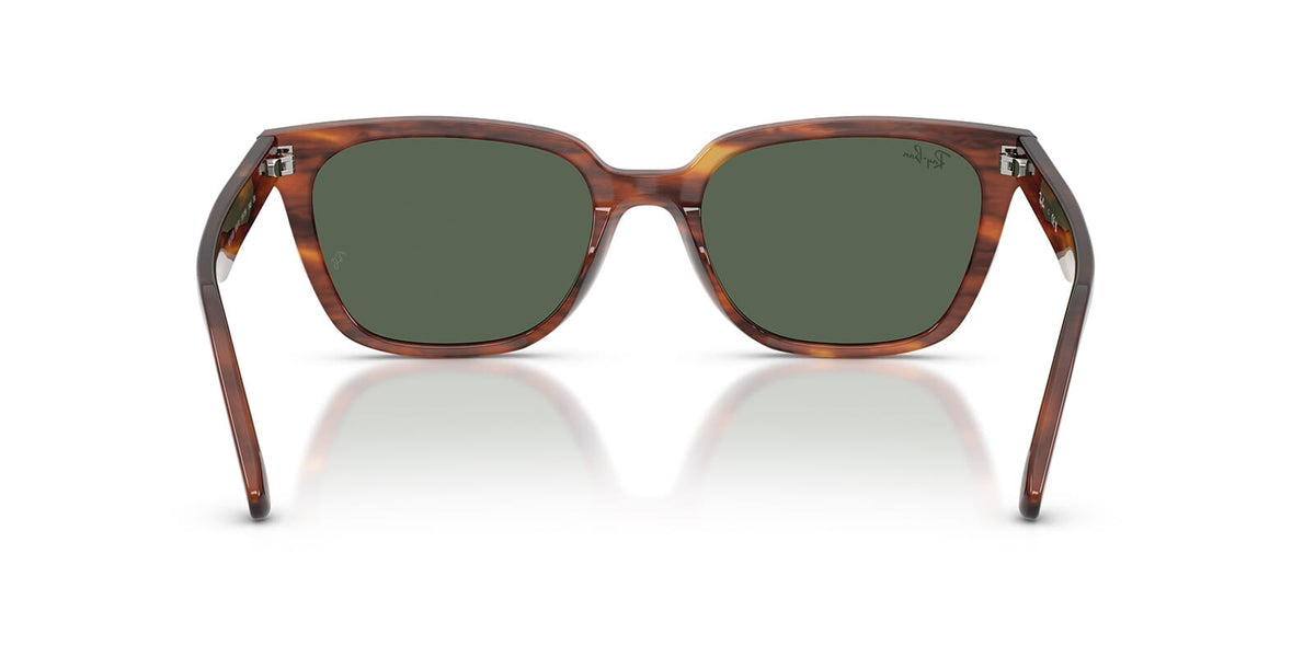 Ray-Ban RB 2243D 954/71 Sunglasses