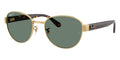 Ray-Ban RB 3766CH 001/O9 Polarised Sunglasses