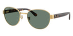 Ray-Ban RB 3766CH 001/O9 Polarised Sunglasses