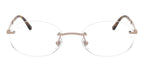 Ray-Ban RB 3767V 3207 Glasses