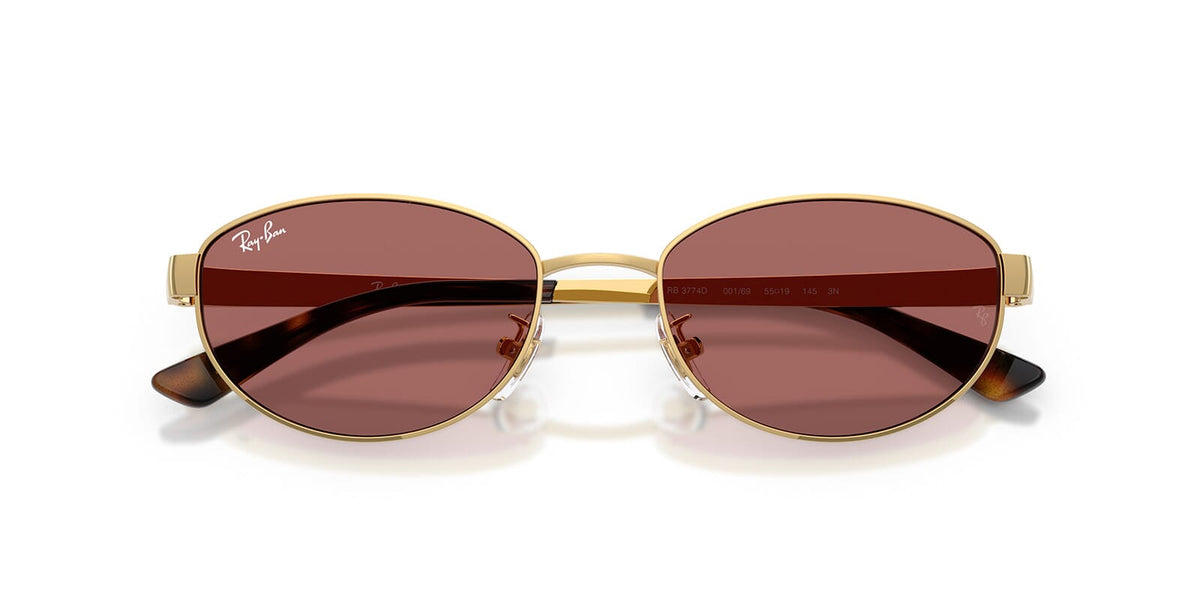 Ray-Ban RB 3774D 001/69 Sunglasses
