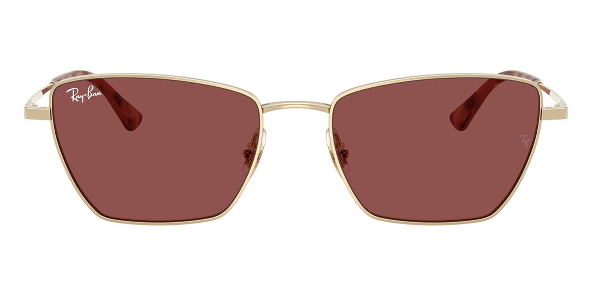 Ray-Ban RB 3783 9213/75 Sunglasses