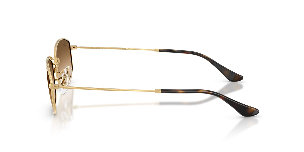 Ray-Ban RB 3832 001/51 Sunglasses