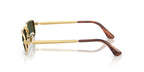 Ray-Ban RB 3927 001/31 Sunglasses