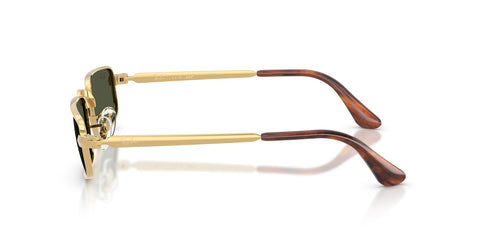 Ray-Ban RB 3927 001/31 Sunglasses