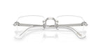 Ray-Ban RB 3928V 2501 Glasses