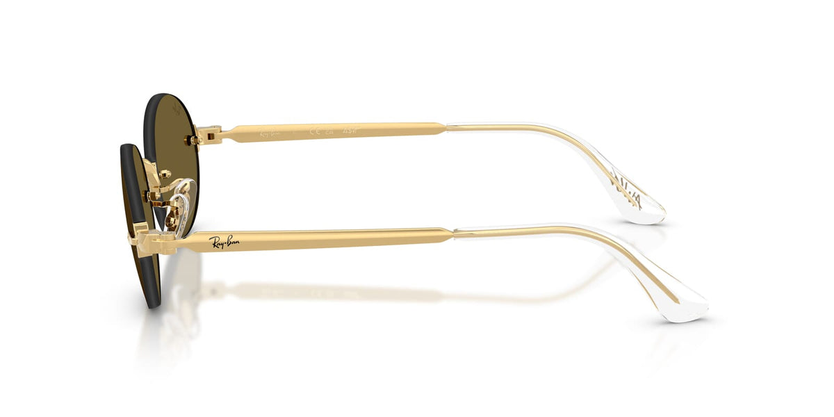 Ray-Ban RB 3929 001/73 Sunglasses