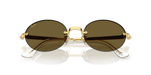 Ray-Ban RB 3929 001/73 Sunglasses