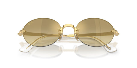 Ray-Ban RB 3929 001/7I Sunglasses