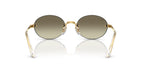 Ray-Ban RB 3929 001/7I Sunglasses