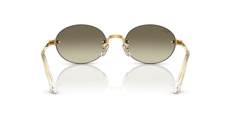 Ray-Ban RB 3929 001/7I Sunglasses