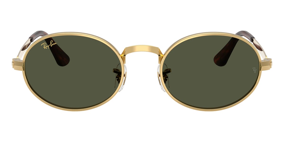 Ray-Ban RB 3931 001/31 Sunglasses