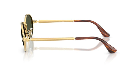 Ray-Ban RB 3931 001/31 Sunglasses