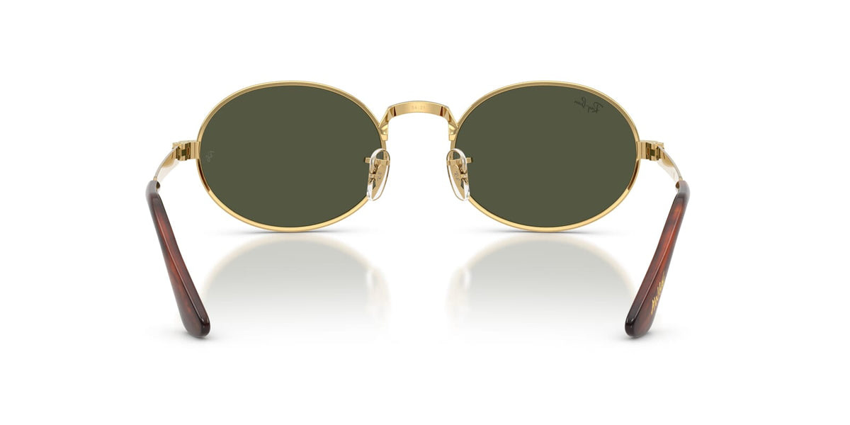 Ray-Ban RB 3931 001/31 Sunglasses