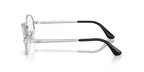 Ray-Ban RB 3931V 2501 Glasses