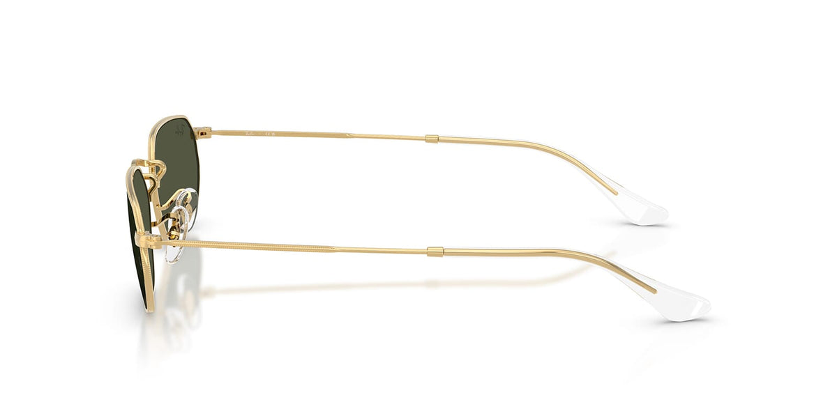 Ray-Ban RB 3947 001/31 Sunglasses